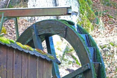 Muehlrad-im-Park