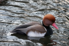 P1260623
