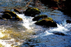 nochmal-im-Park